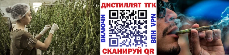 купить  цена  Королёв  ТГК гашишное масло 