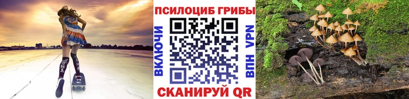 Псилоцибиновые грибы MAGIC MUSHROOMS  Королёв 